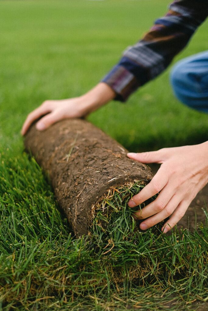 Professional artificial turf installation in North Scottsdale, AZ