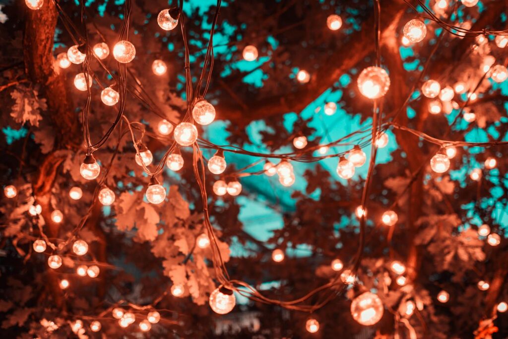 Brown String Lights in Tree