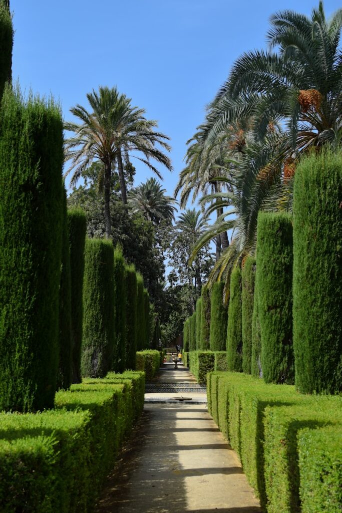 Landscaping experts in Paulden, AZ maintaining a beautiful garden near me.