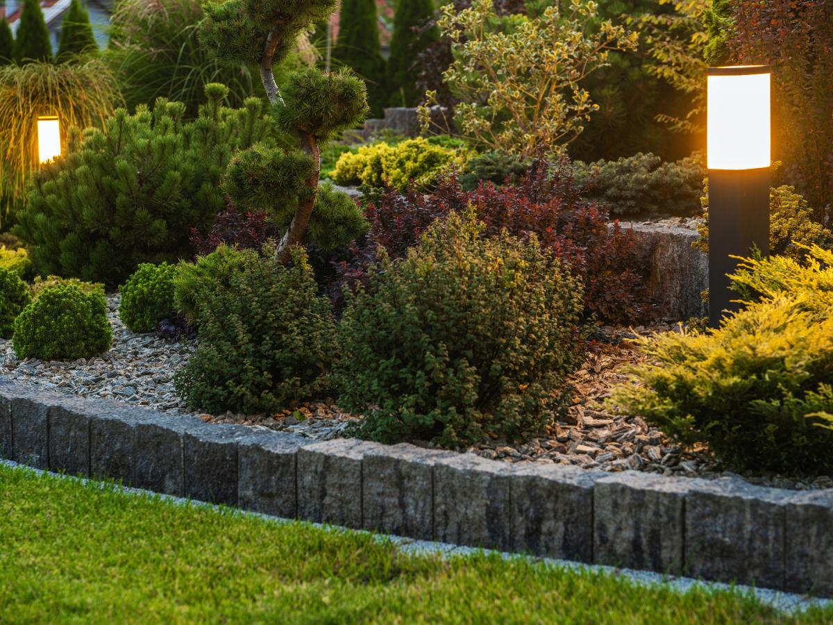 Top landscape lighting in Anthem, AZ