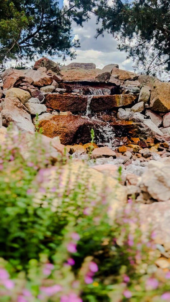 Weekly landscape maintenance in Cave Creek, AZ for desert-adapted plants