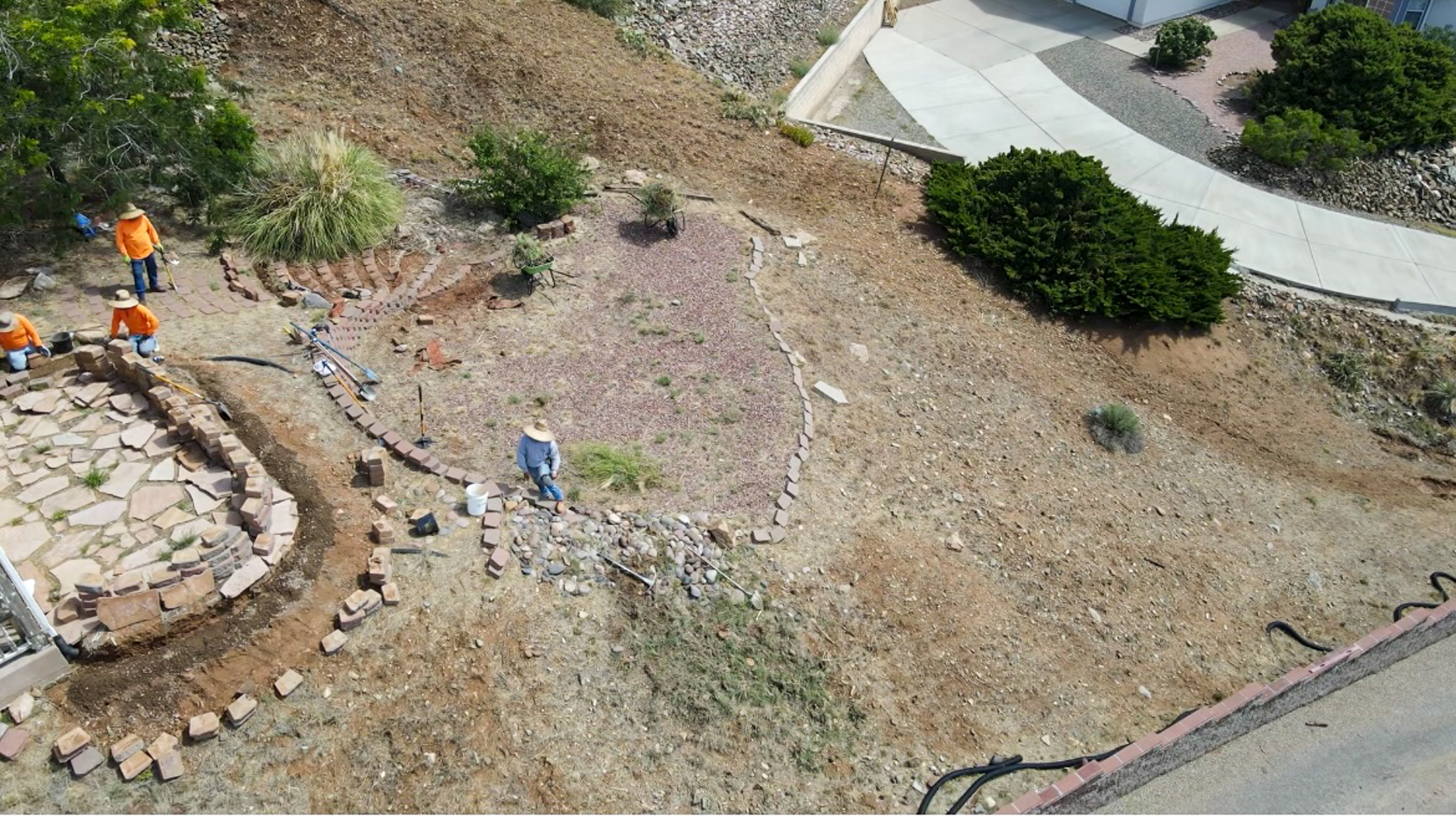 Tree planting near me in Scottsdale, AZ for water-efficient landscaping