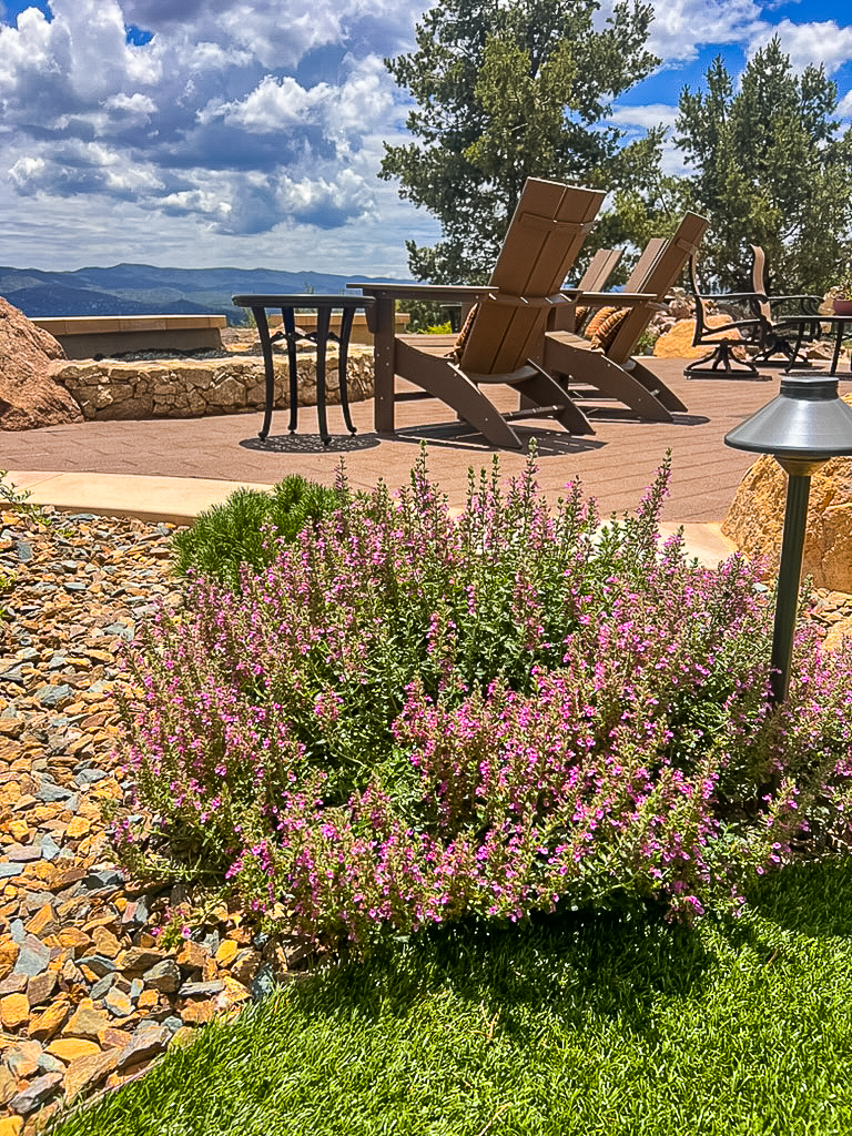 Professional tree planting near me in Cave Creek, AZ for landscape design