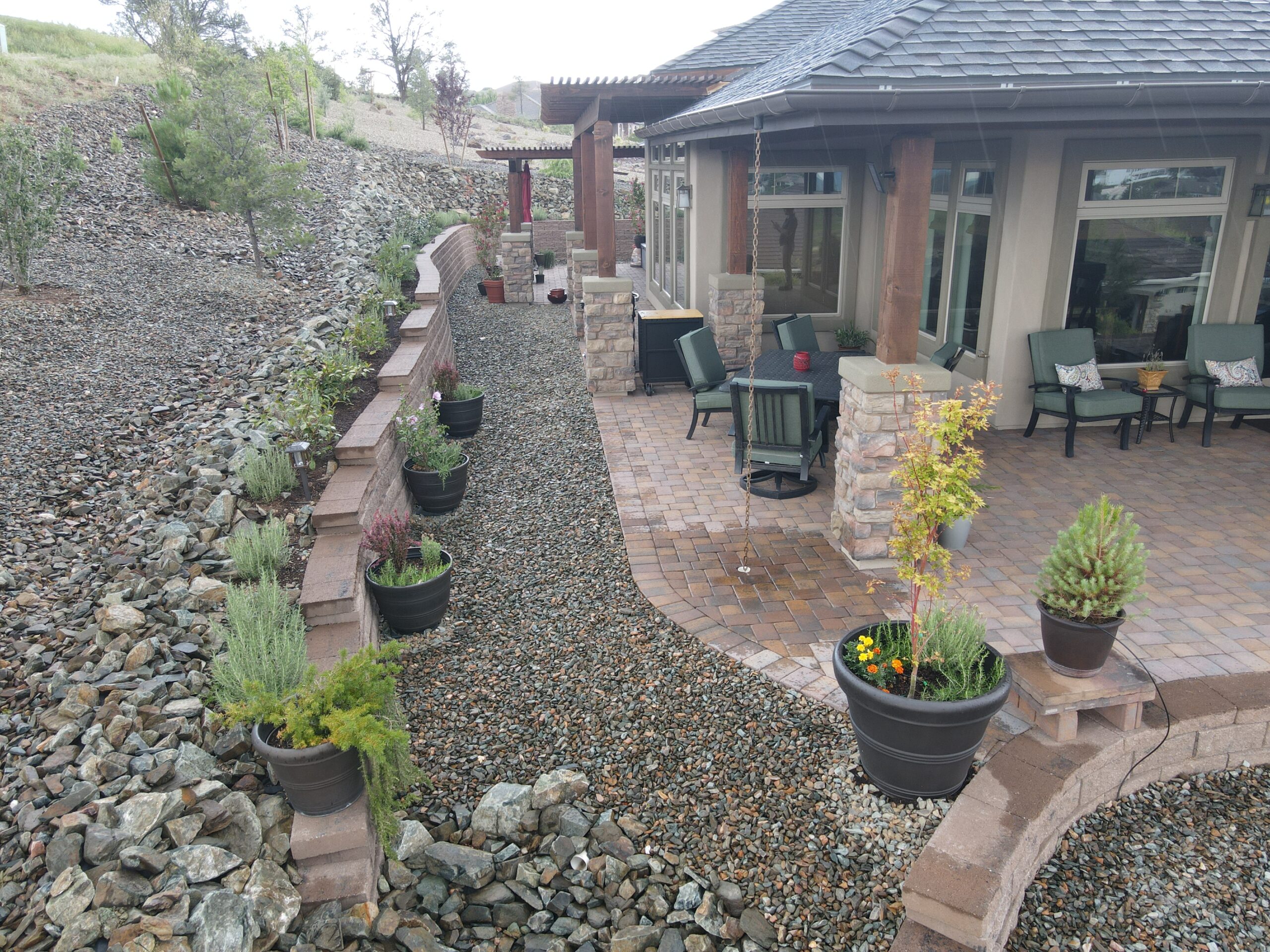 Professional tree planting near me in Peoria, AZ for desert climates